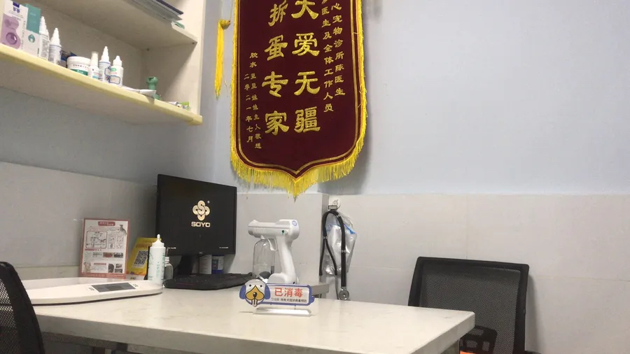 专业的宠物医疗服务